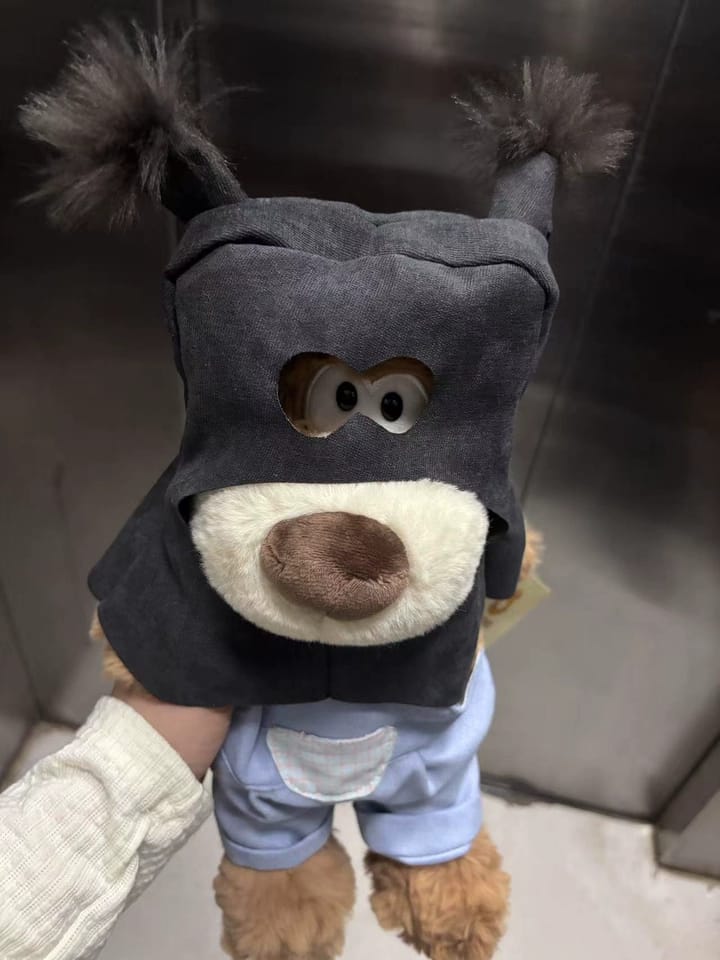 Customer photo review of Dave Dog