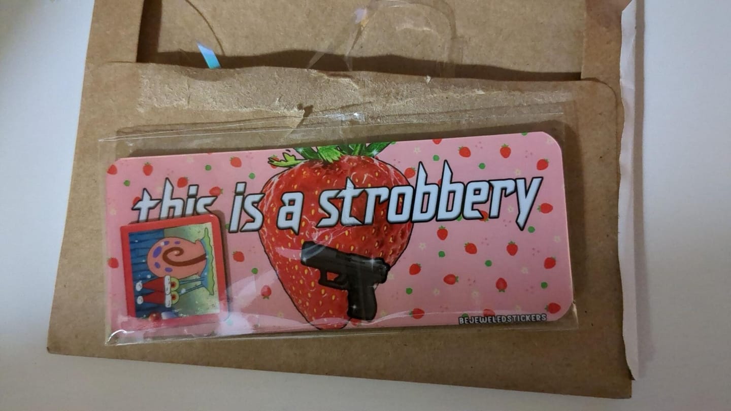 Customer photo review of This Is A Strobbery