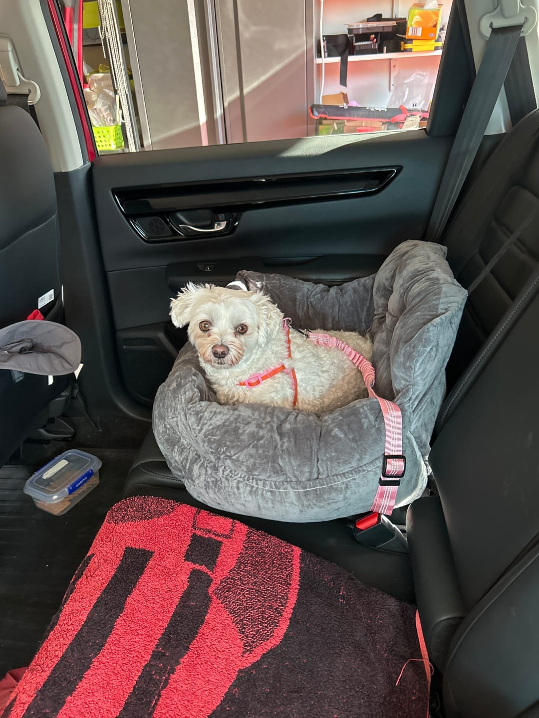Customer photo review of Pet Car Seat Bed Travel Sofa Bed