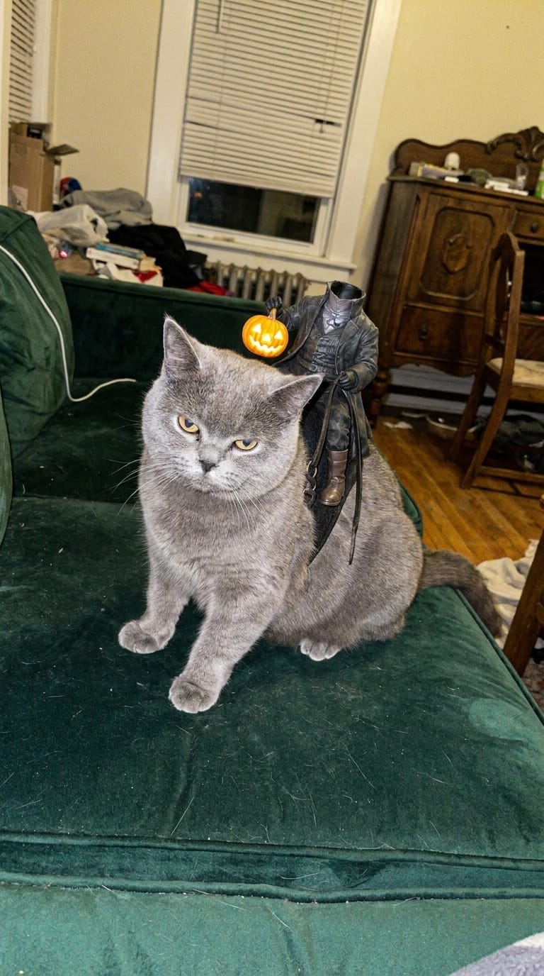 Customer photo review of El Jinete sin Cabeza - Disfraz de Gato