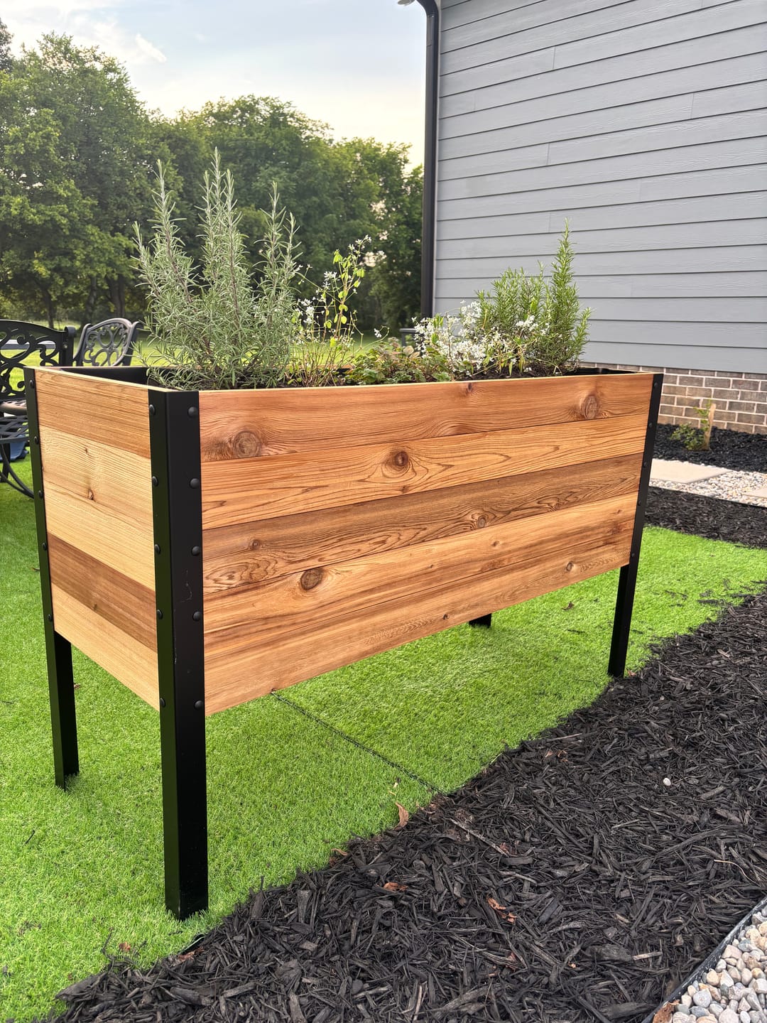 Customer photo review of 18″ x 48″ Deep Root Raised Garden Bed - 30″ TALL - Select Grade