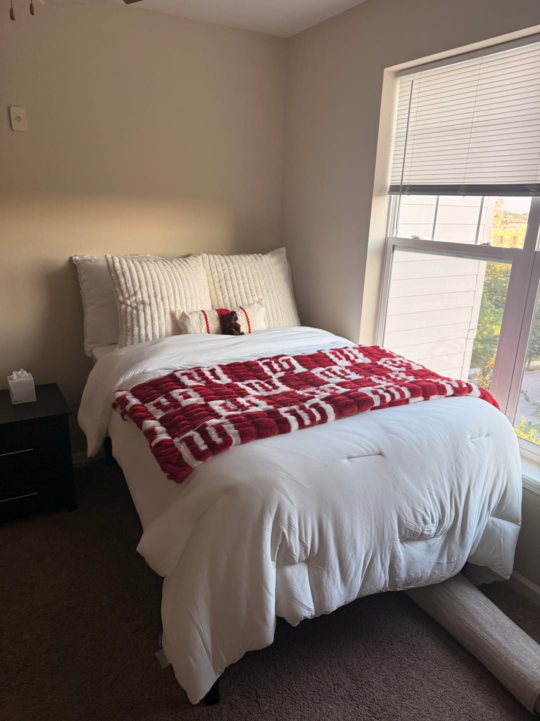 Customer photo review of Indiana University Hoosiers Blanket - Hugs