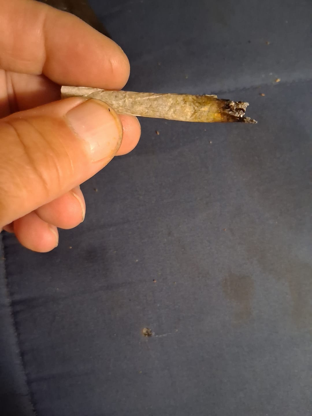 Customer photo review of Pineapple Express - Minis - 28 Grams - Sativa
