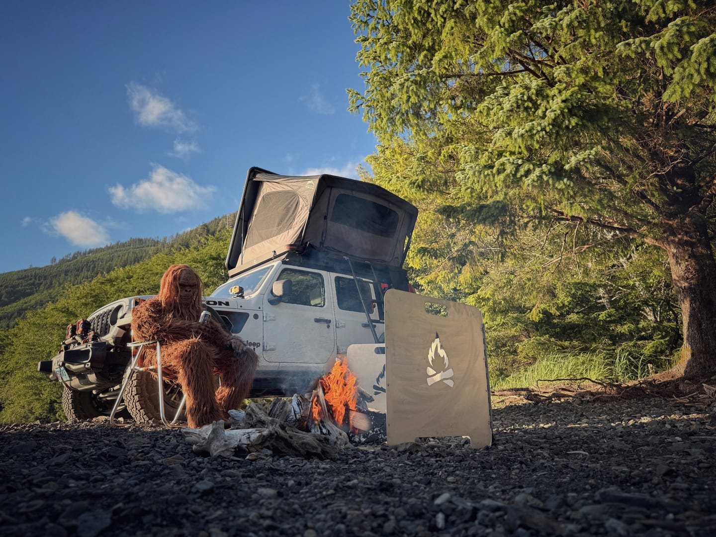 Customer photo review of The Original Fire Reflector