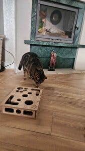Customer photo review of Sugenza™ Kedi Tırnak Törpüleme & Oyun Kutusu