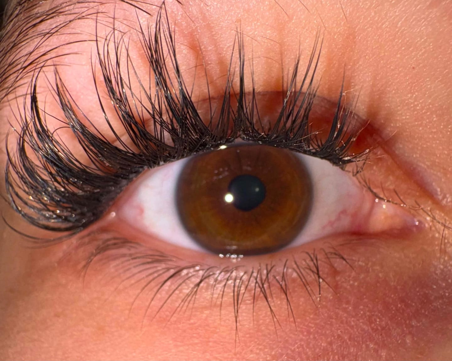 Customer photo review of THE CAT EYE