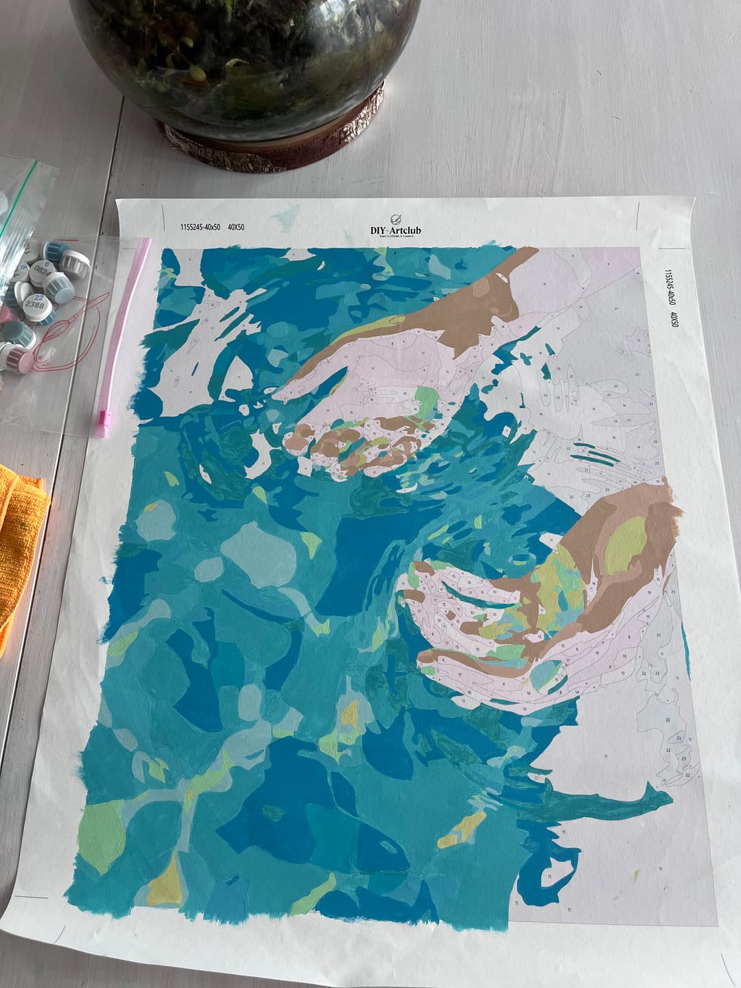 Customer photo review of Lustration | Paint by Number