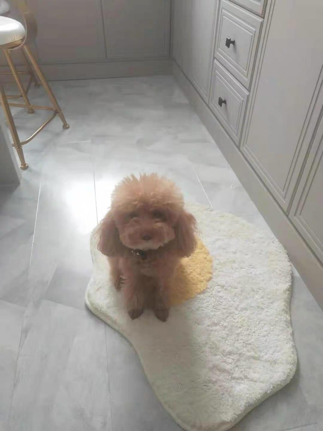 Customer photo review of Fried Egg Rug