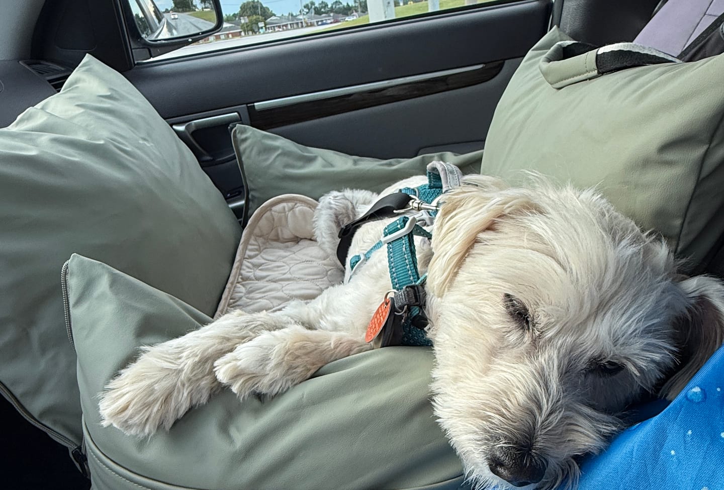 Customer photo review of Dog Dock V2 New & Improved LATCH / ISO FIX