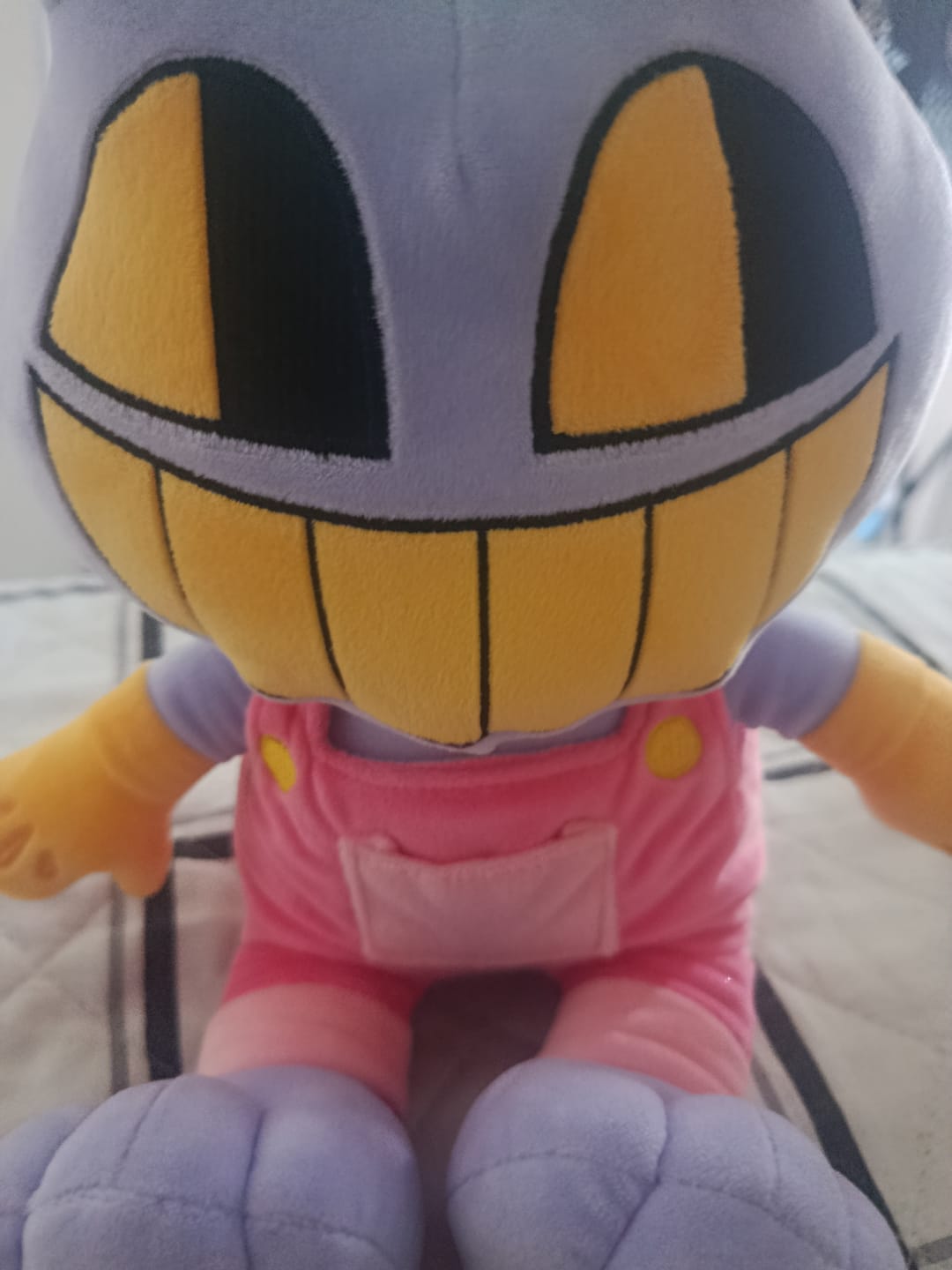 Customer photo review of Jax Plush