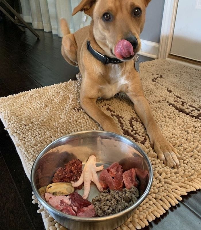 Customer photo review of Pack Nutrición para Mascotas + Bonos