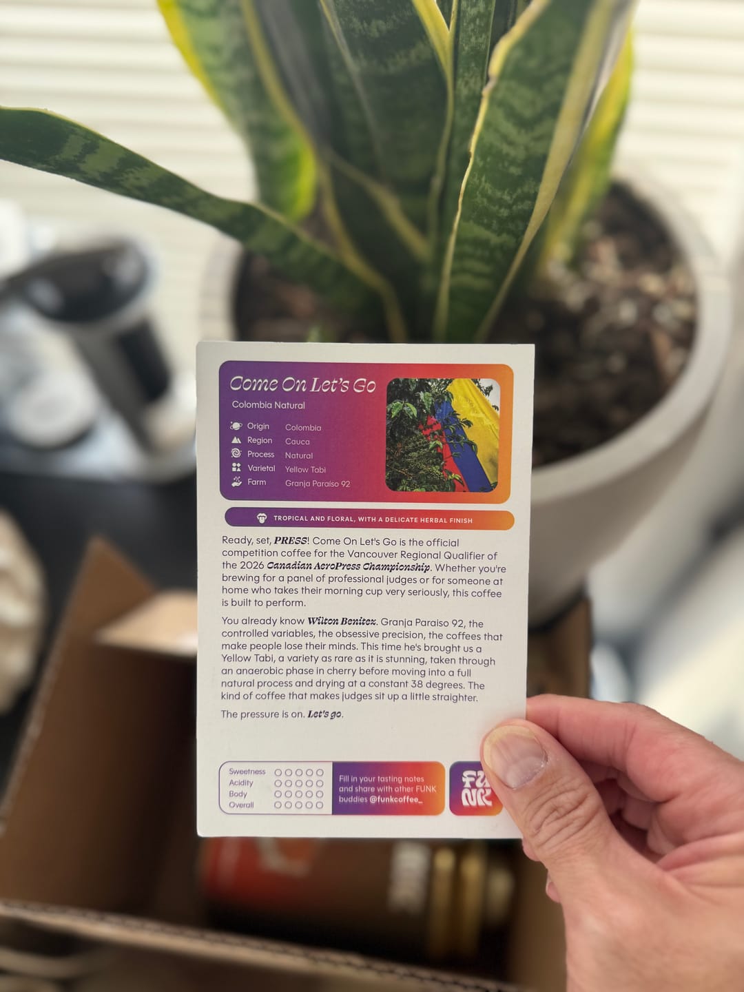 Customer photo review of Drip Drip DROP Subscription Box