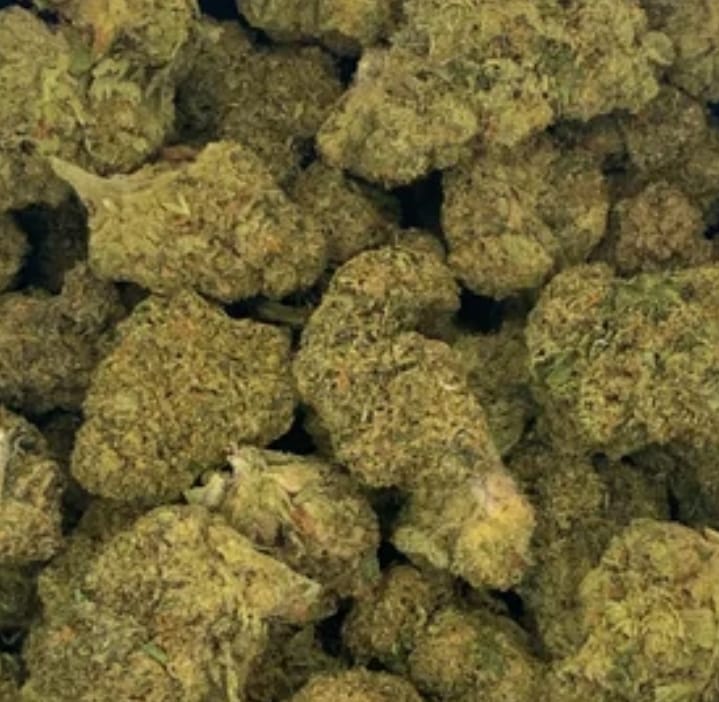 Customer photo review of Double Runtz - Greenhouse
