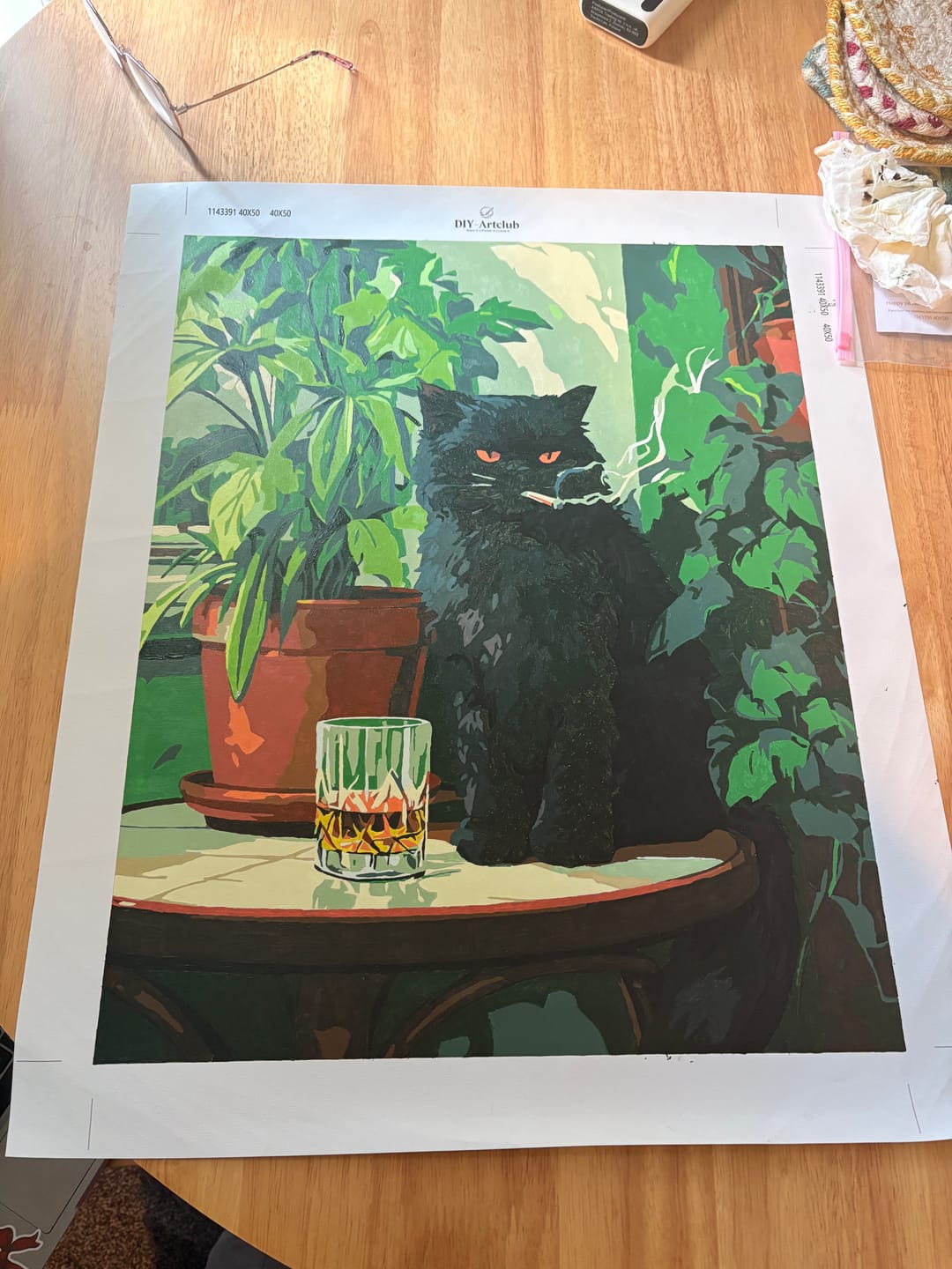 Customer photo review of Grumpy cat | Paint by Number