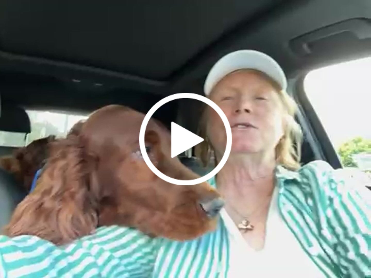 Customer video review of Setter Silhouette Embroidered Hat
