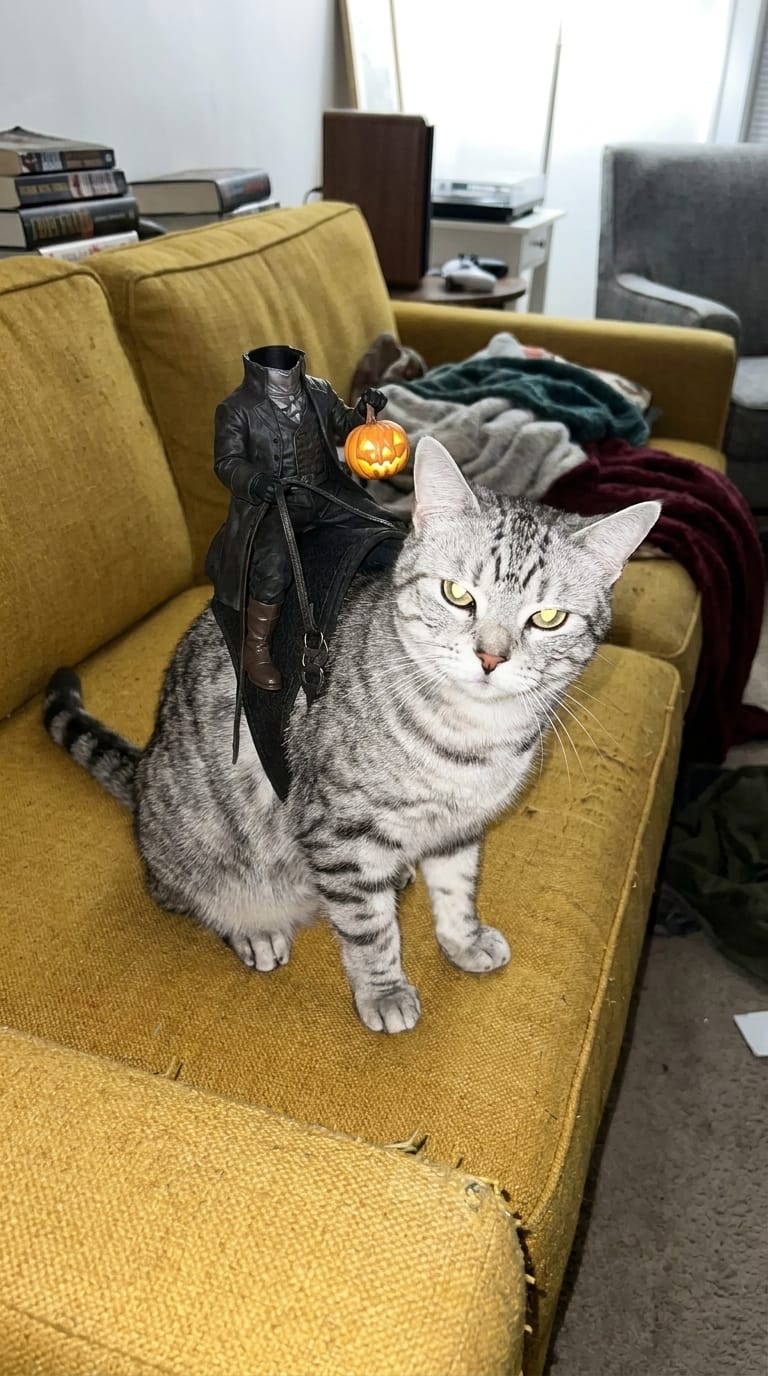 Customer photo review of El Jinete sin Cabeza - Disfraz de Gato