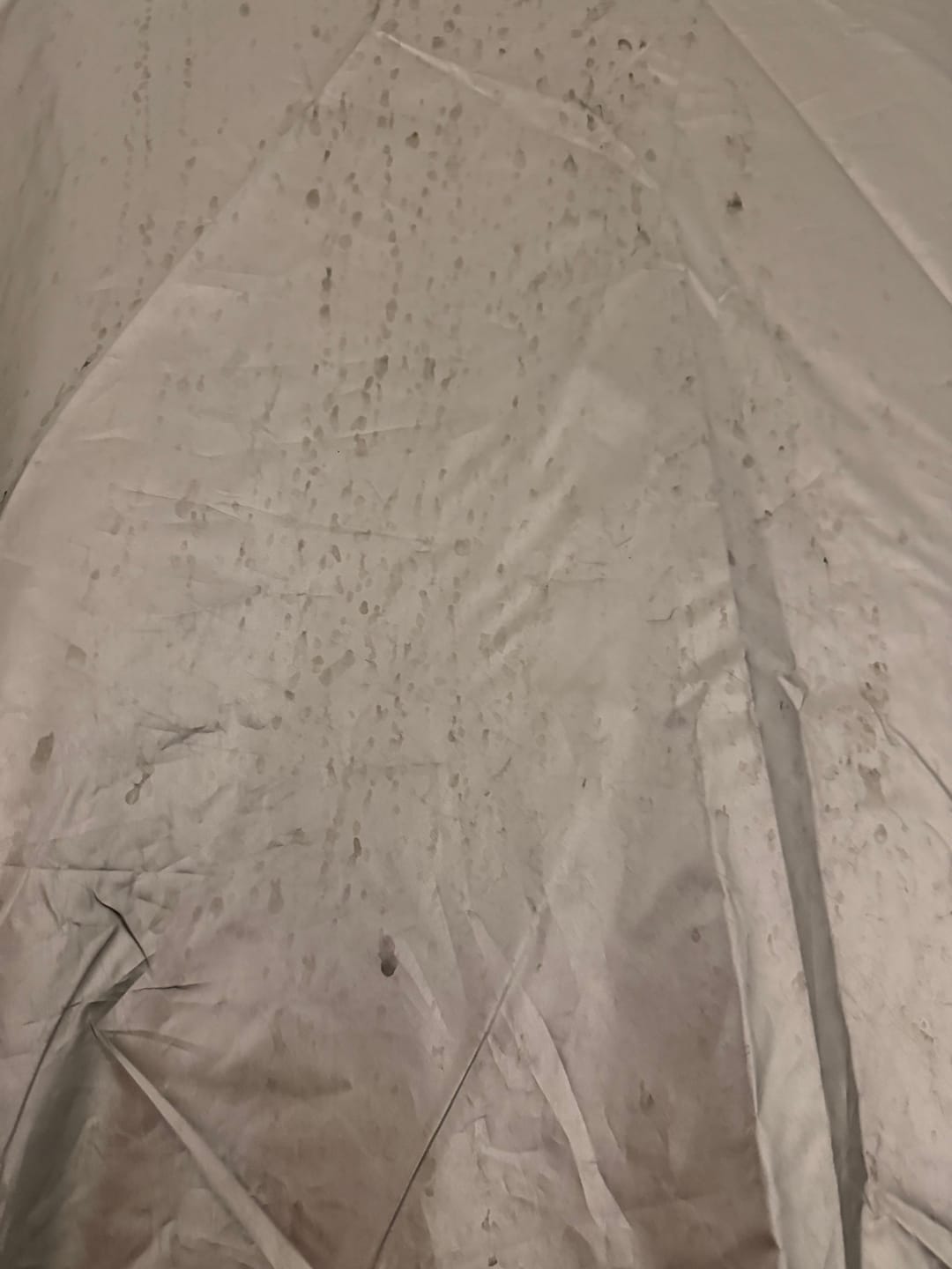 Customer photo review of Folio Lace Pack