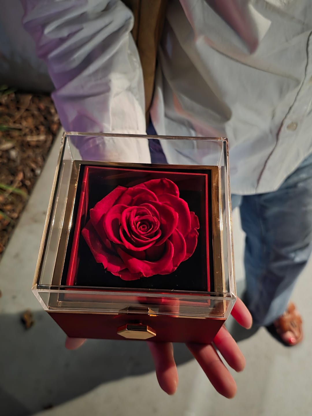 Customer photo review of Rotating Eternal Rose Gift Box