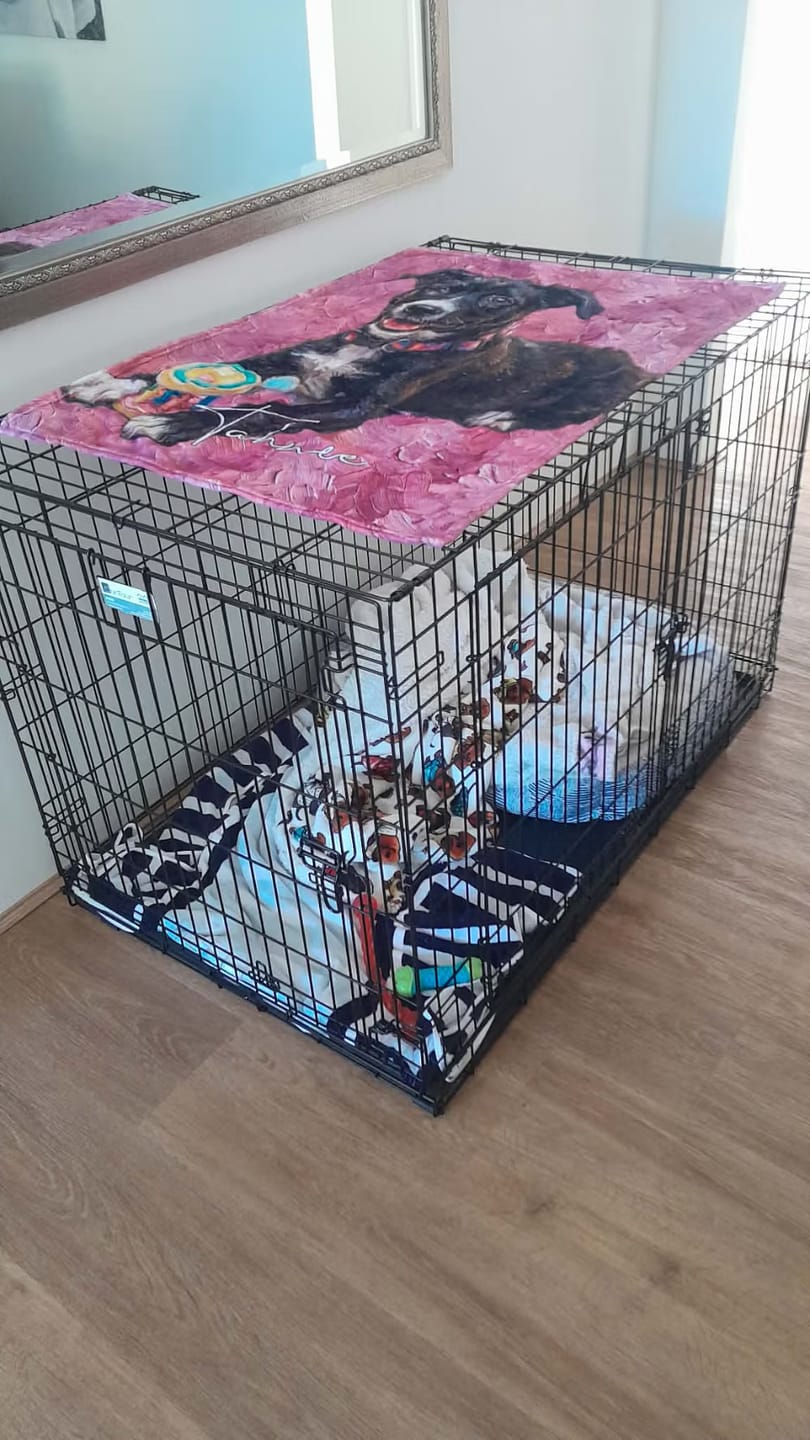 Customer photo review of Personalized Oil Painting Style Pet Photo Soft Throw Blanket with Name Home Decor Birthday Pet Memorial Gift for Pet Lovers