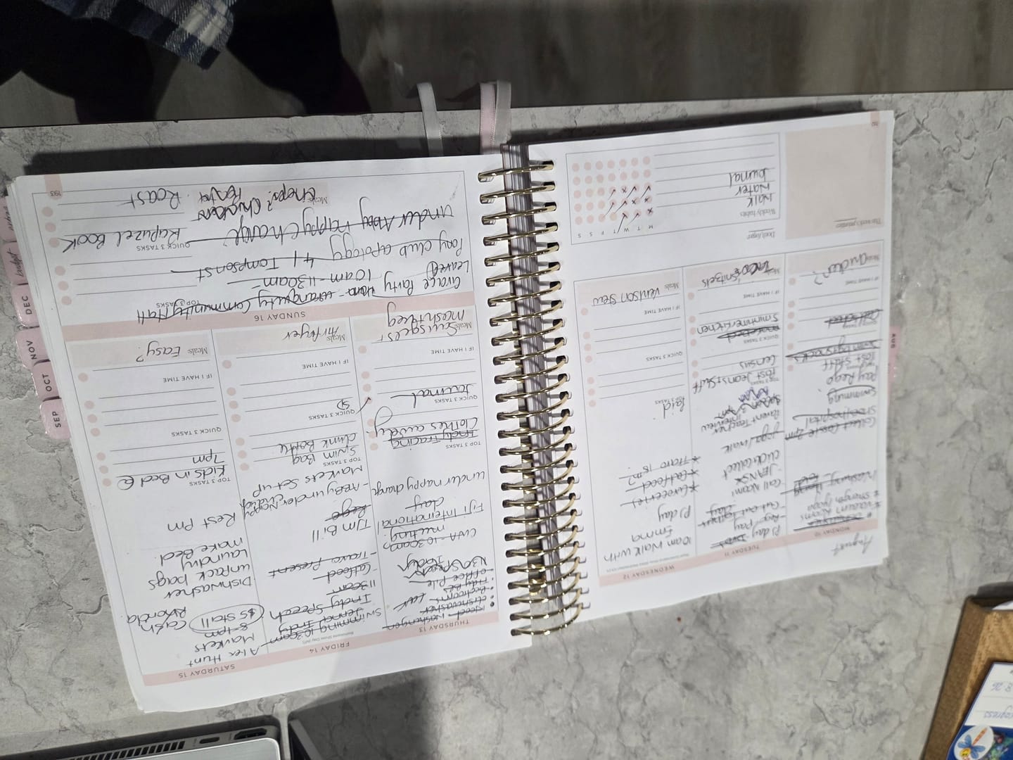 Customer photo review of 2026 Signature Planner - Blush + Yellow Gold