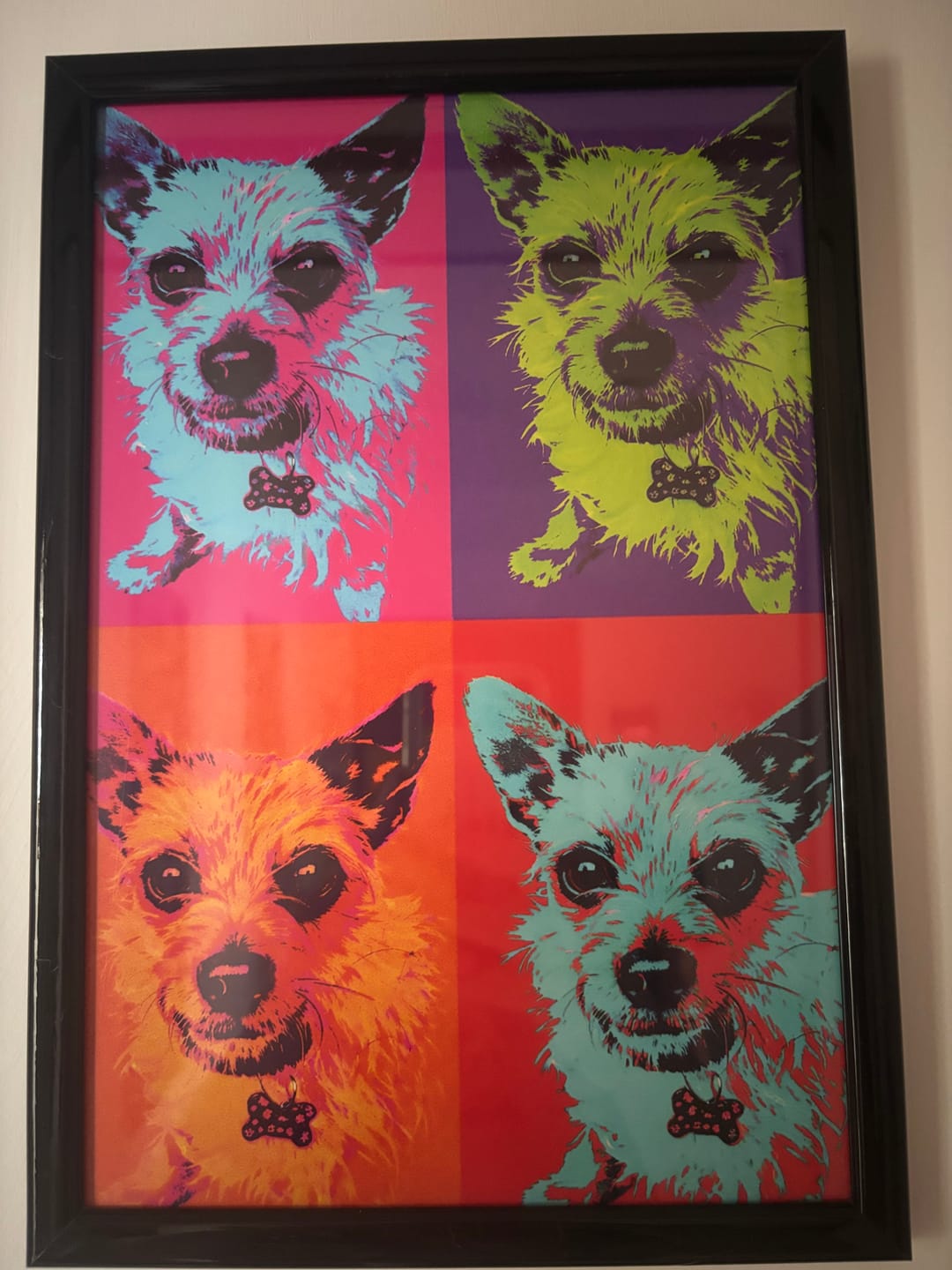 Customer photo review of Quadrati colorati - Poster personalizzato