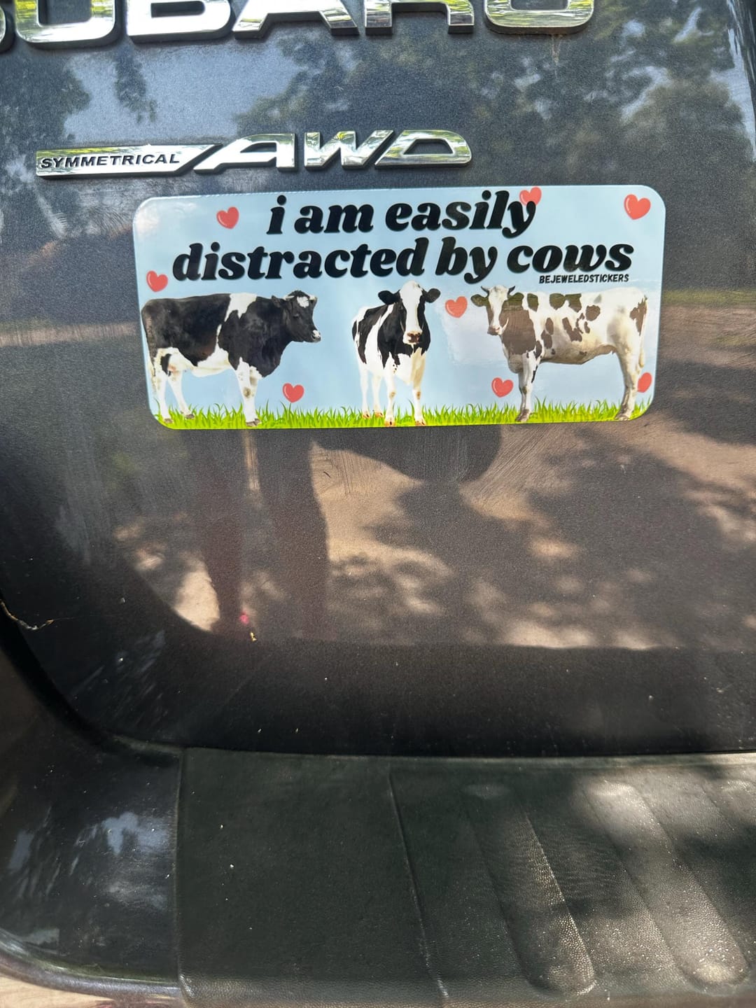 Customer photo review of I am easily distracted by cows