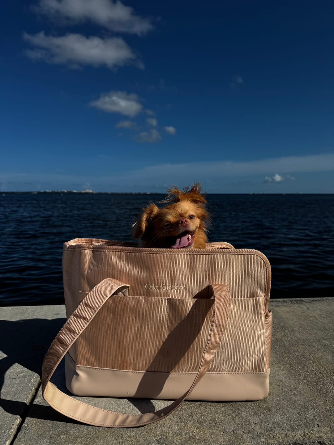 Customer photo review of Beige Pet Tote Bag
