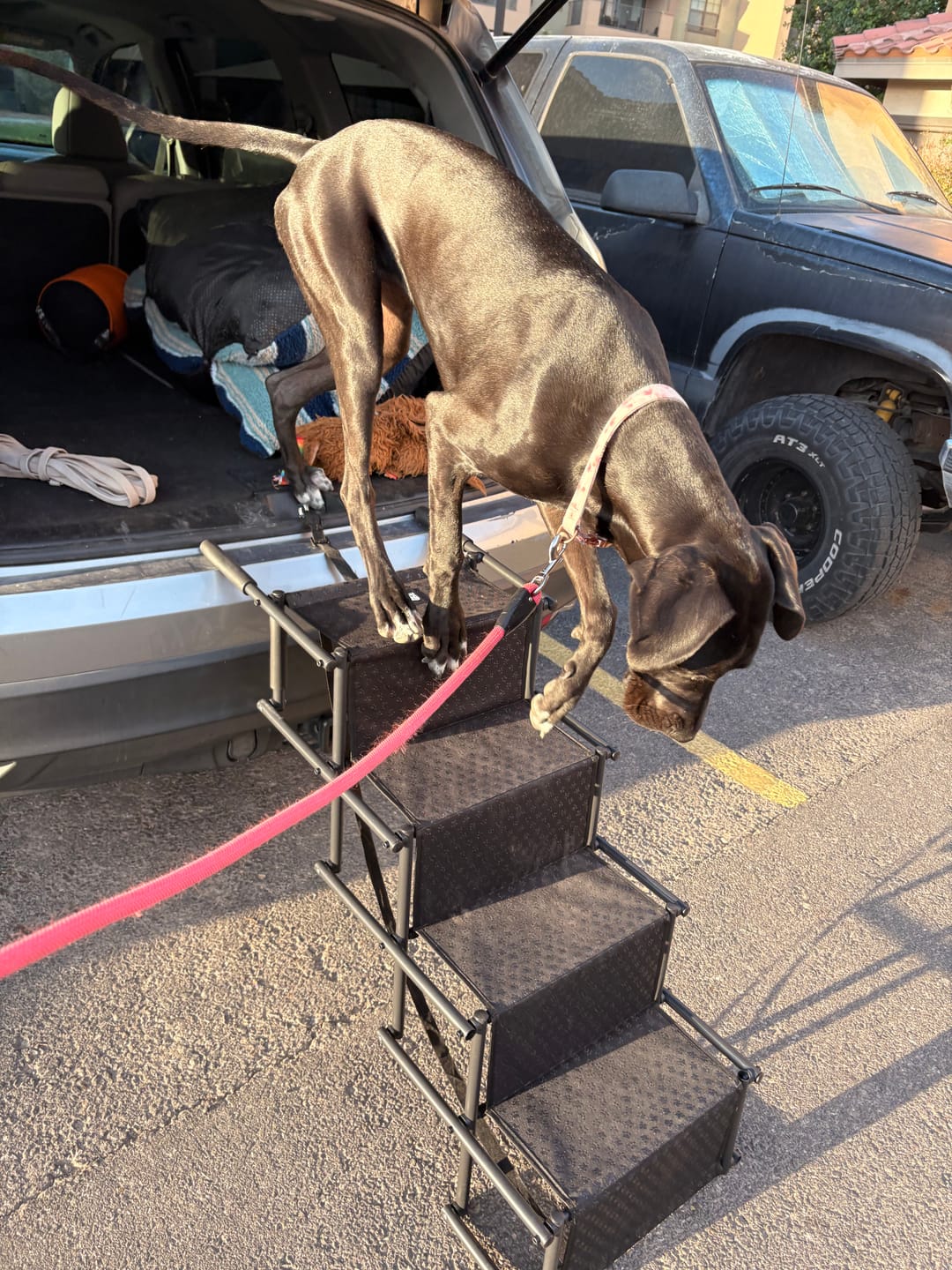 Customer photo review of Big Ass Steps