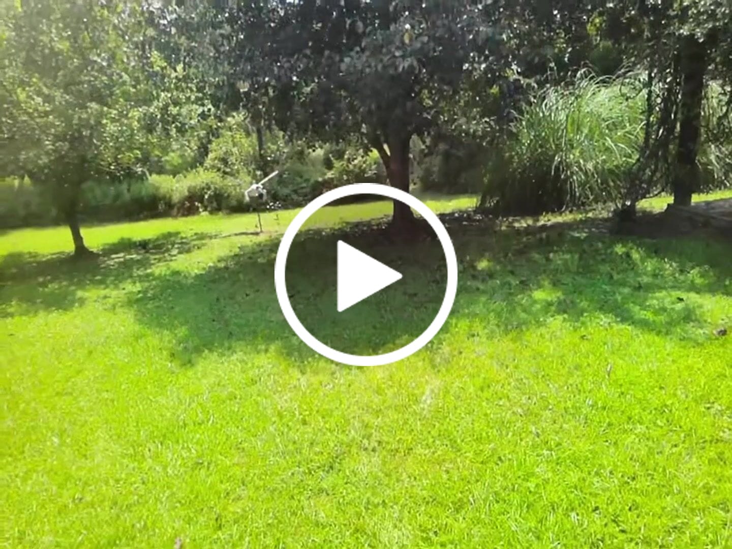 Customer video review of Tree Trimming/Wood Cutting – ProCut U-Groove Arc Edge Pruning Reciprocating Saw Blade