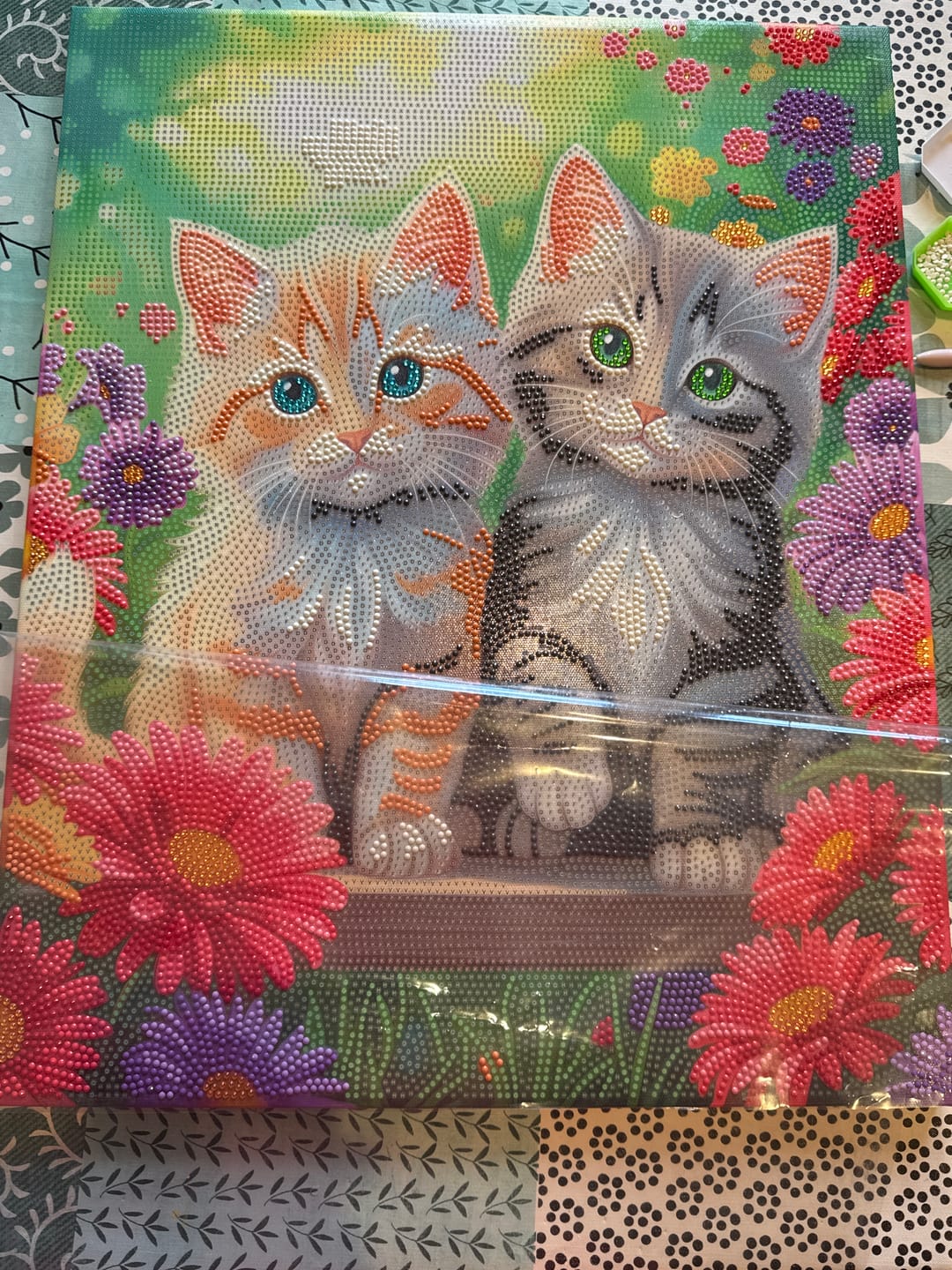 Customer photo review of Garden Cats Crystal Art Canvas Kit 40x50cm