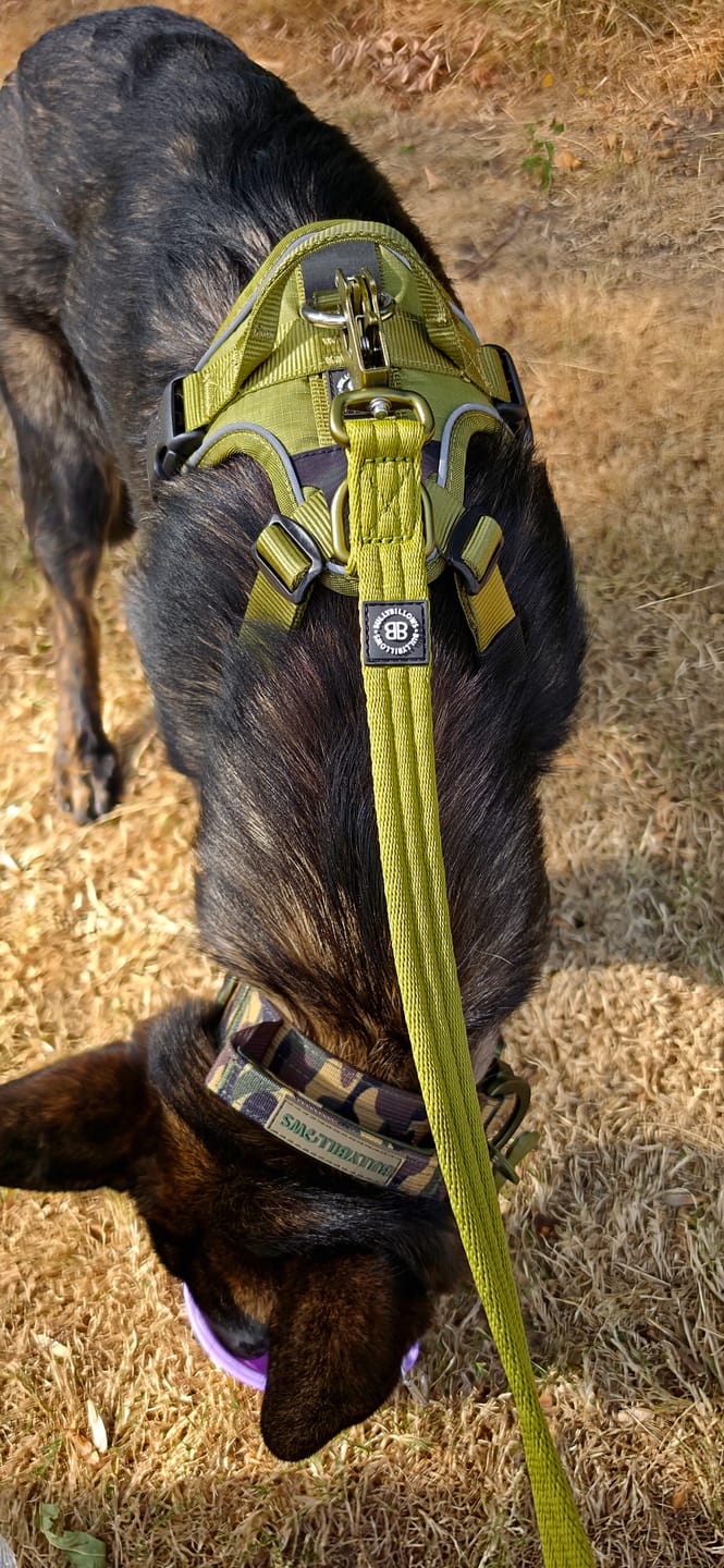 Customer photo review of Anti Pull Hurricane Harness Lighter | With Handle - Olive Green