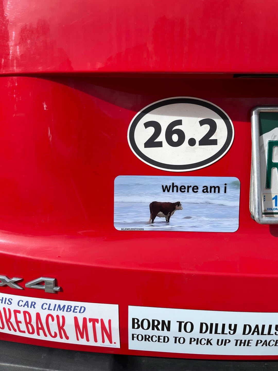 Customer photo review of i may be stupid / where am i / customizable text