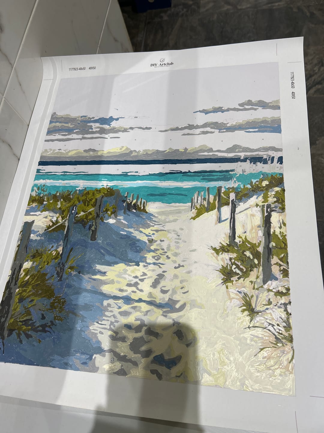 Customer photo review of Beach Path | Paint by Number