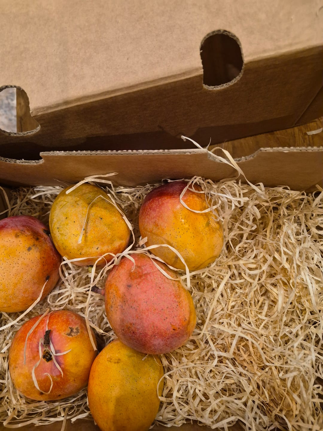 Customer photo review of Mini-Mango Tropigold von Antonio Aktionspreis %