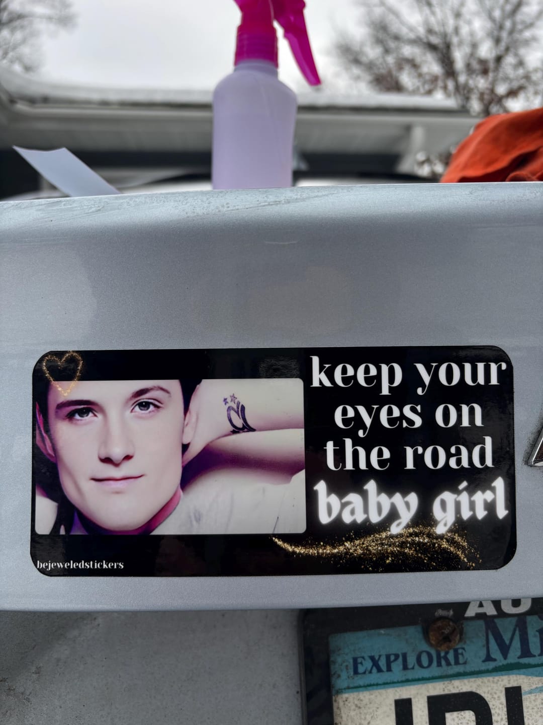 Customer photo review of baby girl / customizable text
