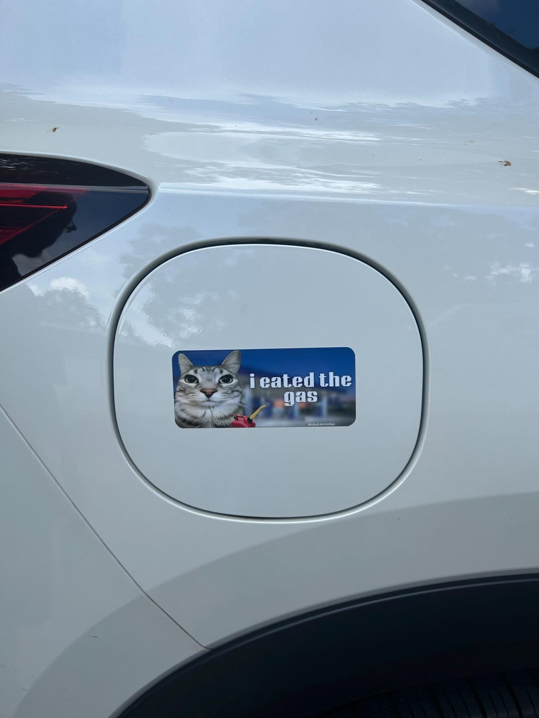 Customer photo review of i eated the gas / customizable text