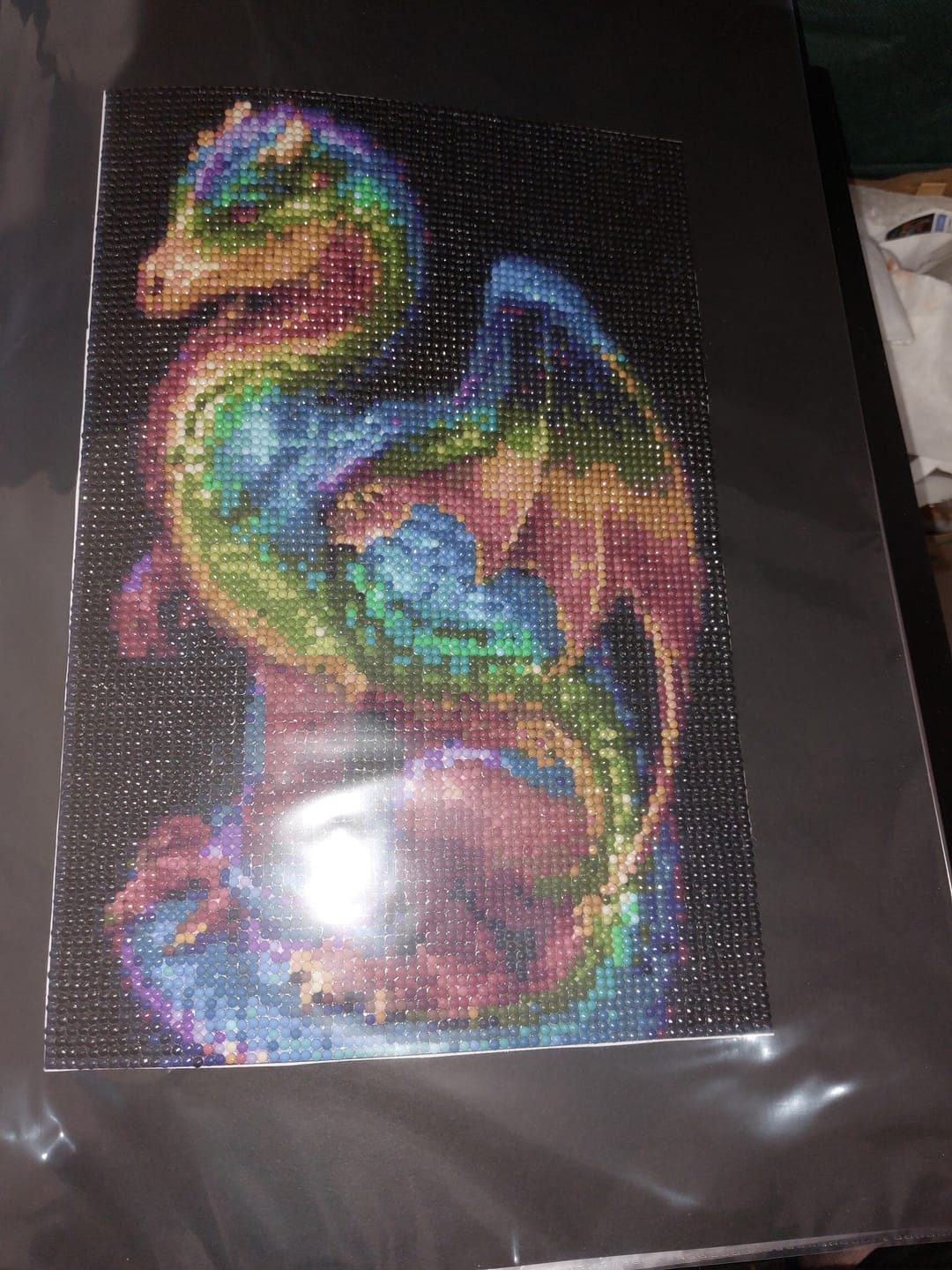Customer photo review of New Hot Sale Dragon Pattern Diy Full Drill - 5D Crystal Diamond Painting Kits VM20051