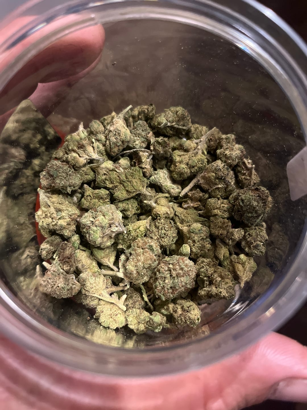 Customer photo review of Money Over Bitches (MOB) THCA Flower