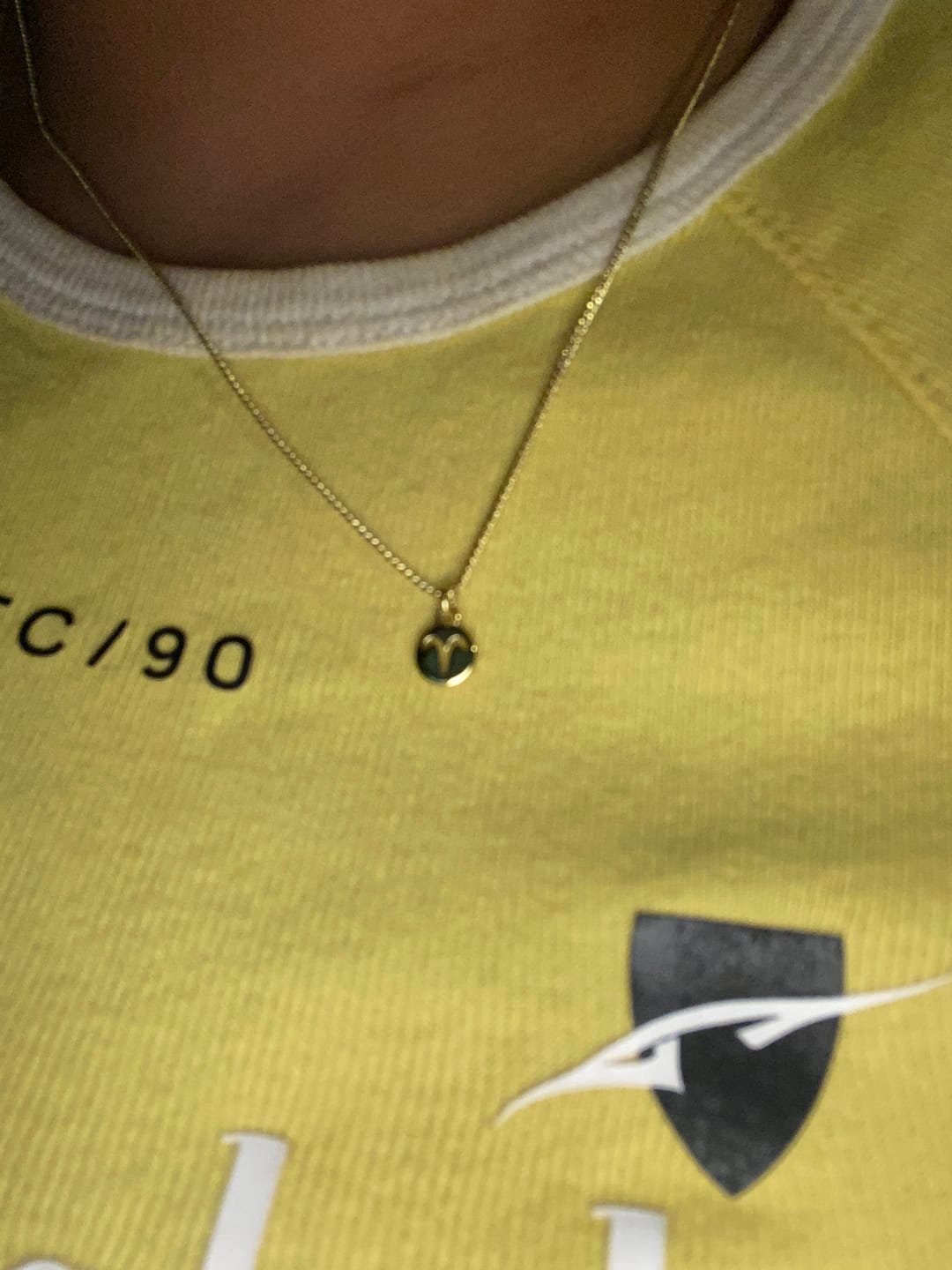 Customer photo review of Collar Mini Dije Signo Zodiacal
