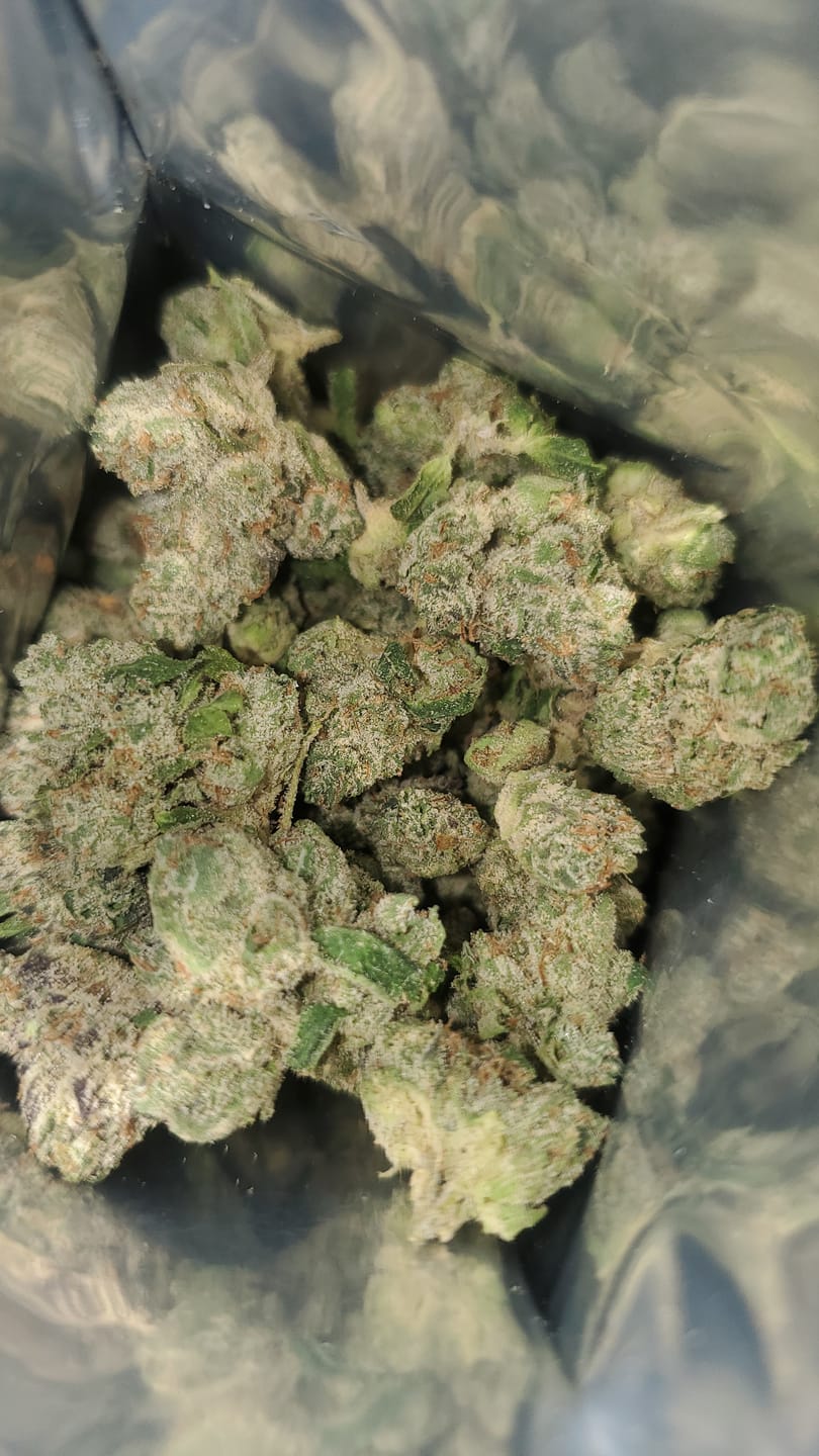 Customer photo review of Gelato THCA Flower (Budget)