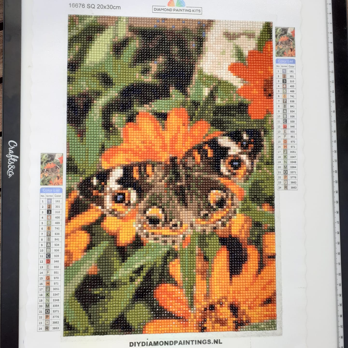 Customer photo review of Diamond Painting Eigen Foto (New)