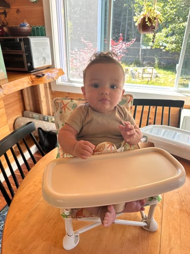 Customer's 6-month-old grandson sitting happily in the Sailor portable booster chair V2 with tray attached.