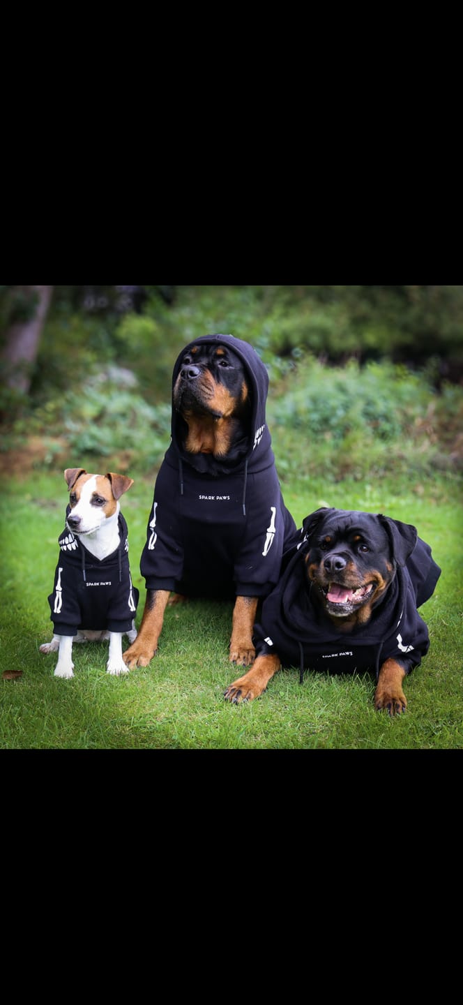 Customer photo review of Halloween Dog Hoodie - Reflective Skeleton (2)
