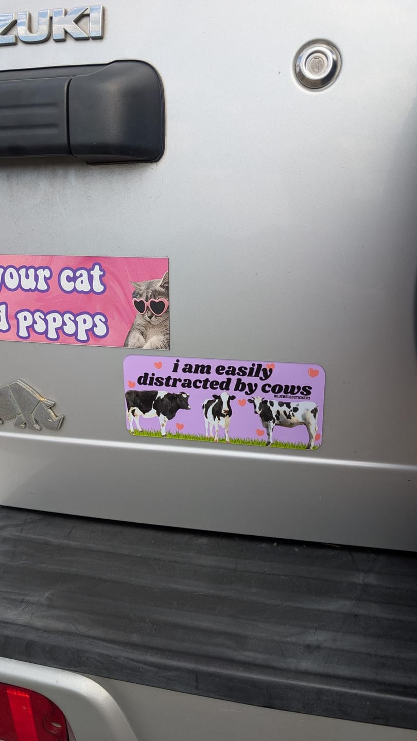 Customer photo review of I am easily distracted by cows