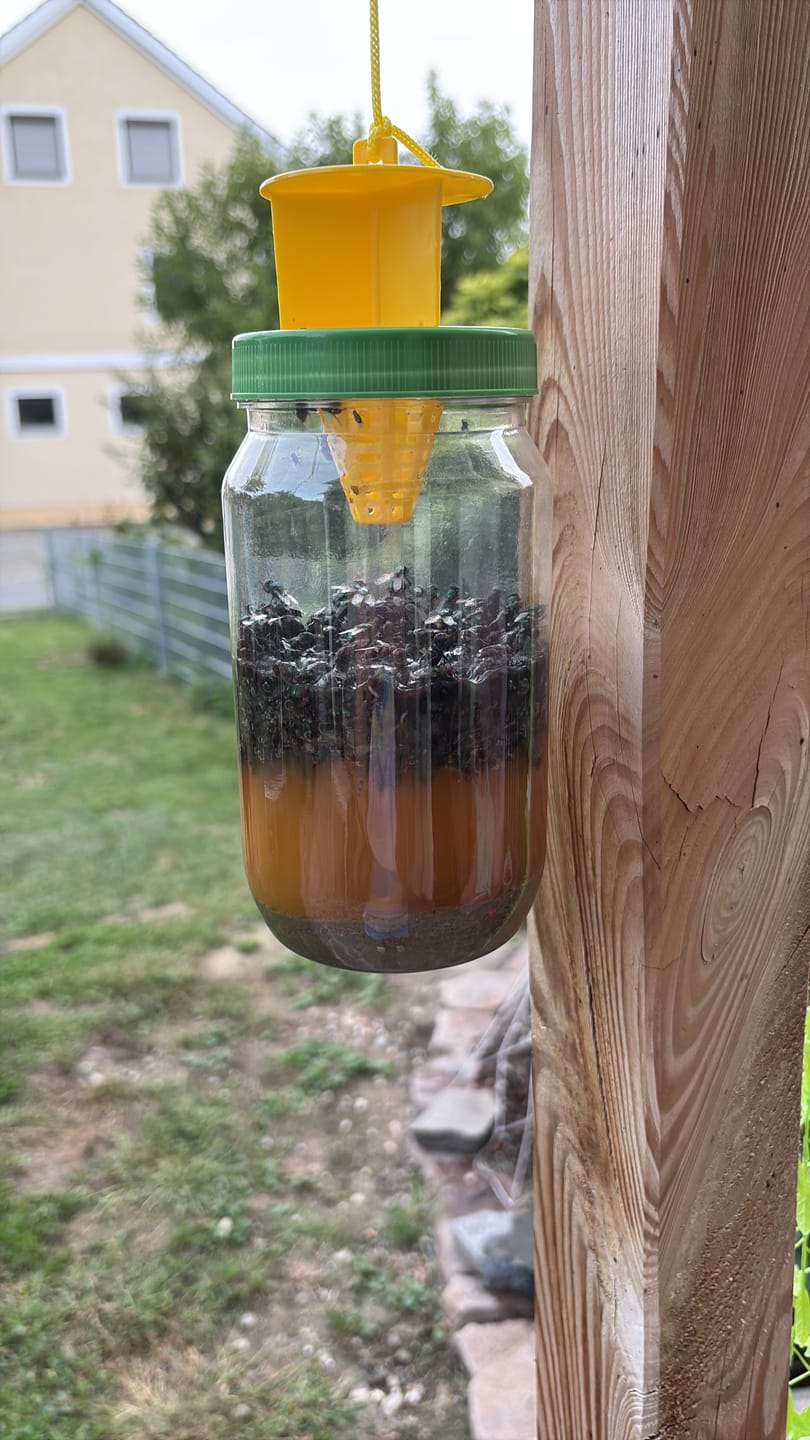 Customer photo review of Liquid Trap Köder – Bio-Lockstoff für Fliegen & Bremsen