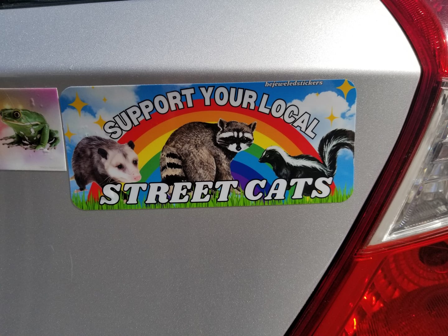 Customer photo review of Support Your Local Street Cats