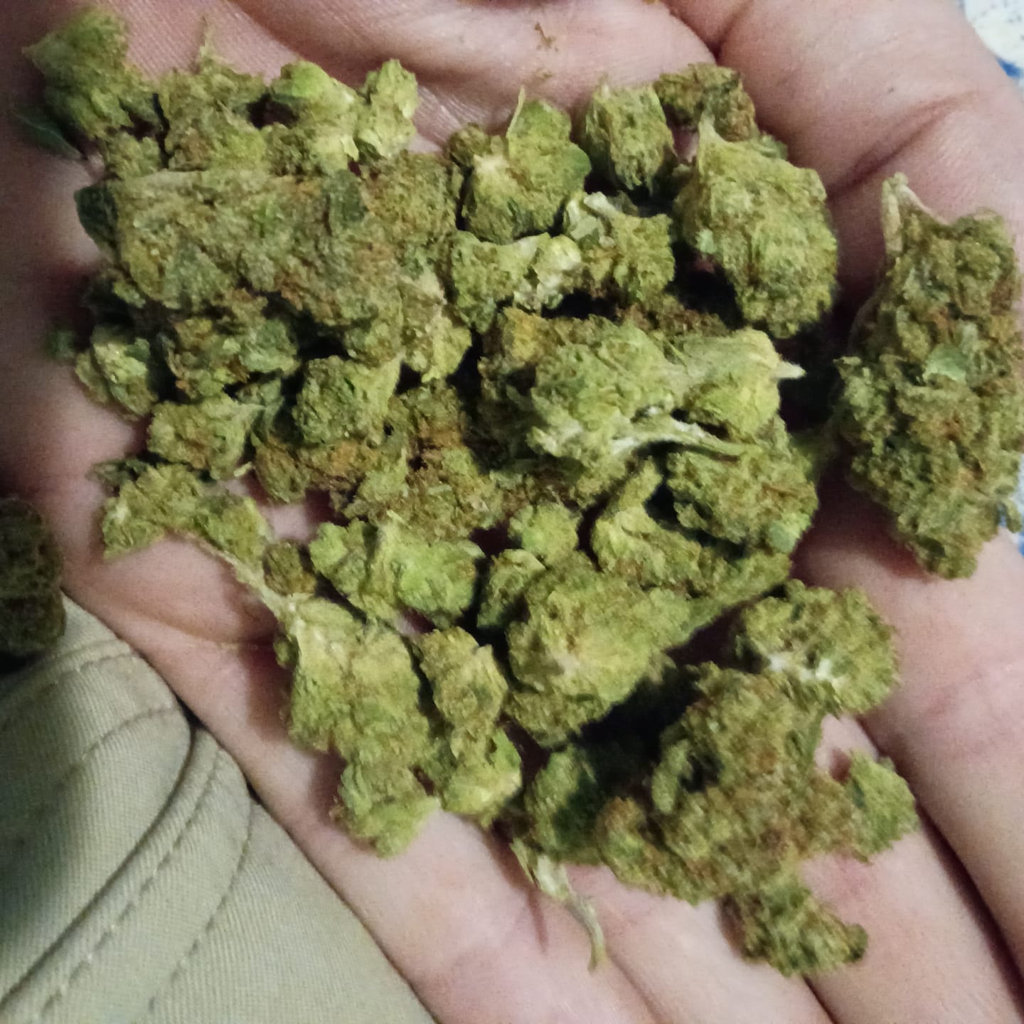 Customer photo review of Peanut Butter Cup - 28 Grams - Indica