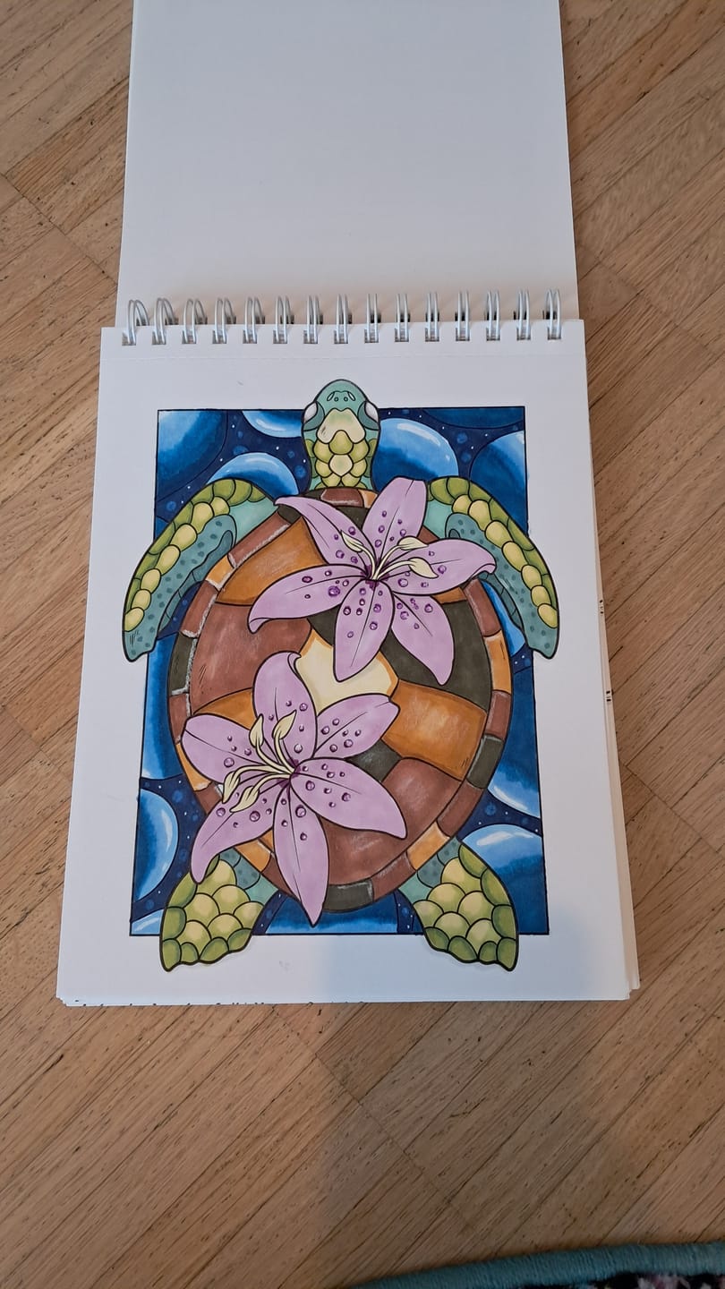 Customer photo review of Ohuhu x Jade Summer Alcohol Markers & Coloring Book Set, 47 Colors + 1 Colorless Blender, Honolulu B, Brush & Fine Dual Tips