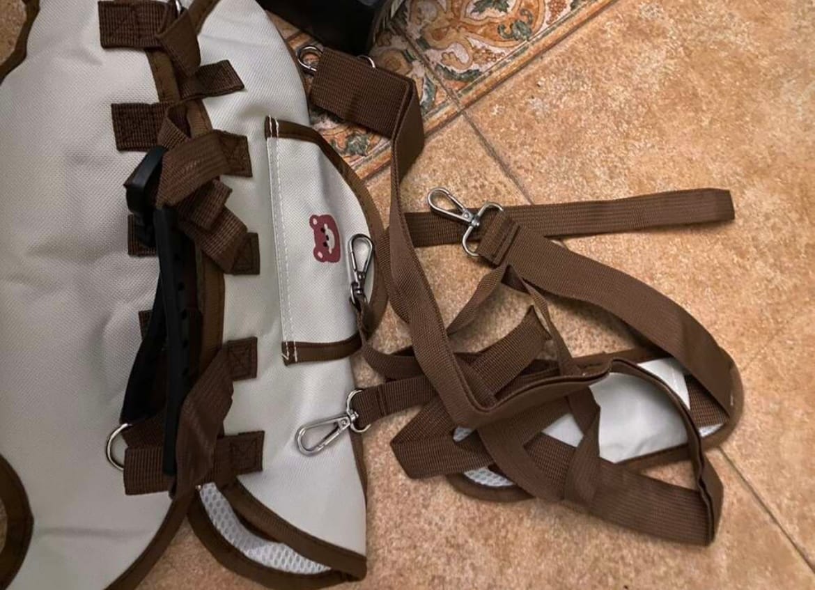 Customer photo review of PawTreck Carrier Backpacks