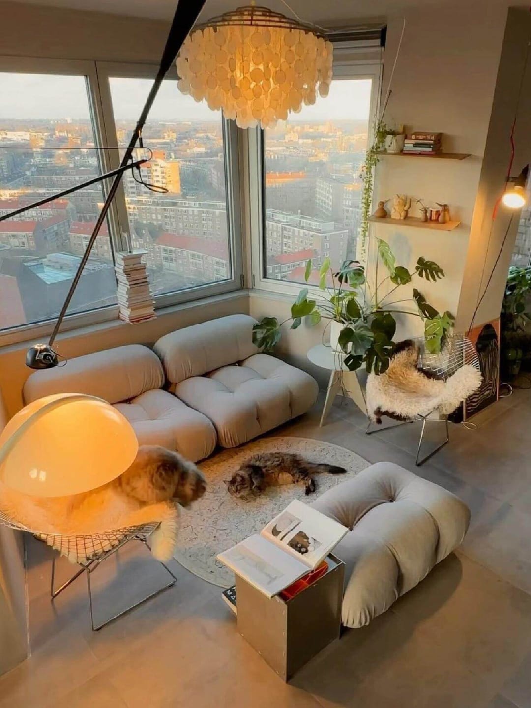 Customer photo review of Hiksnra Sofa 2 Seater | Vacuum Packed Compression Sofa